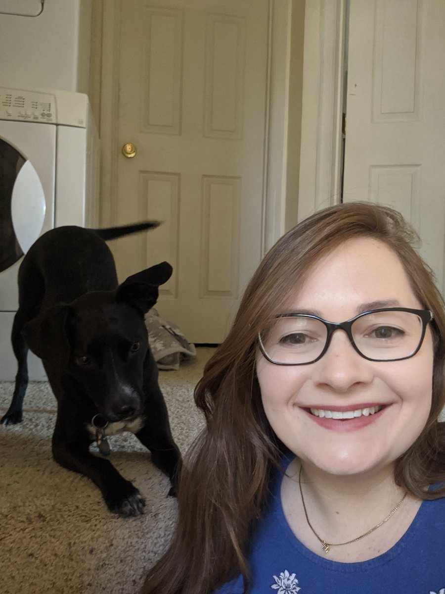 SpottedinSecond's tweet photo. #WildWednesday Tried a few times to get a good photo with my pup Zelda! She's decided it's play time and she loves helping fold clean clothes... 💕🐶 #MPVirtualSpiritWeek https://t.co/rJom0xHTDv