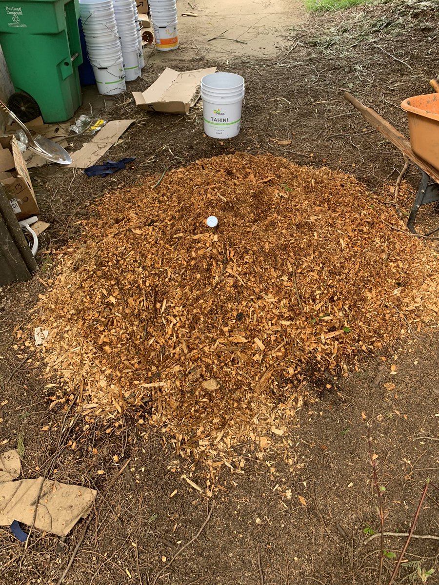 Even a small woodchip pile heats up! The weather is around 60 but the center of this pile is 80 F! Makes sense that a gigantic pile can produce a ton of energy while also transforming into incredible soil in a few years
