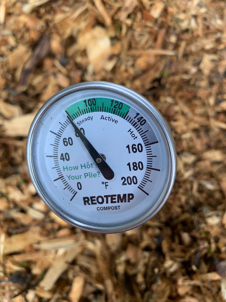 Even a small woodchip pile heats up! The weather is around 60 but the center of this pile is 80 F! Makes sense that a gigantic pile can produce a ton of energy while also transforming into incredible soil in a few years