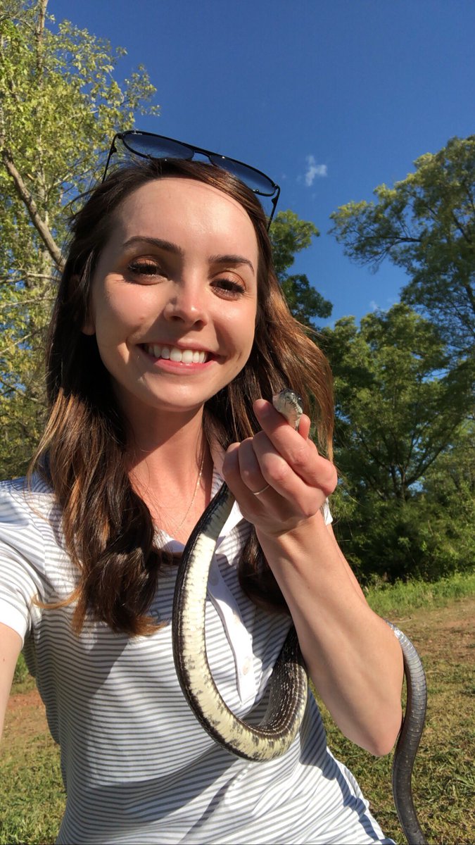 CateecheeGC's tweet photo. While completing bird box inventory, our wildlife biologist found this cute little rat snake making a home out of one of our boxes! Rat snakes are great snakes to have around. They eat rats and other small rodents, and they arenโt venomous, so next time you see one, say hi! https://t.co/aWRZKtMf57