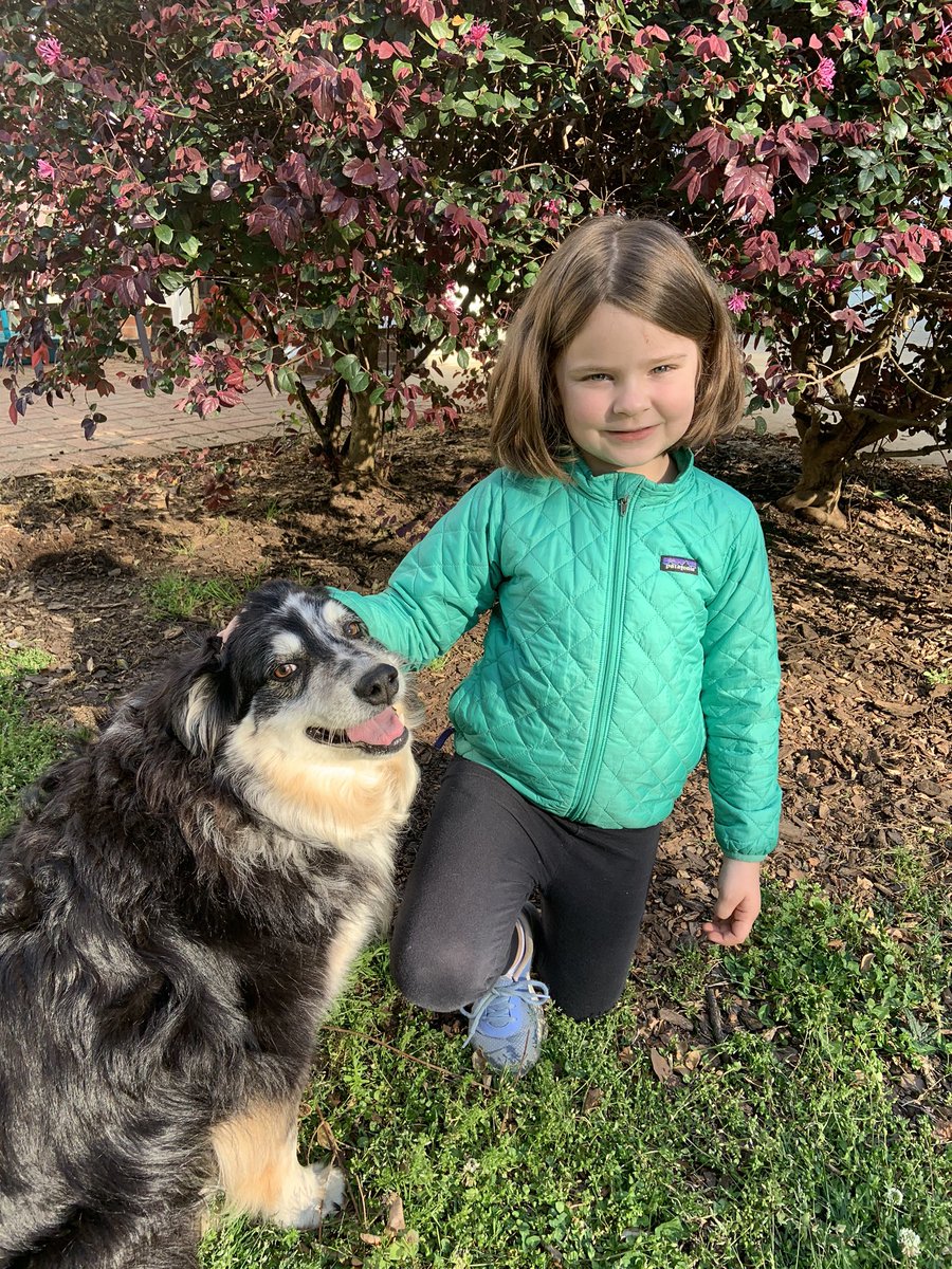 School is back in session <a href="/SilkHopeEagles/">SHSeagles</a> and Carisa is celebrating Wagging Wednesday with our family dog Ruby. #VirtualSpiritWeek