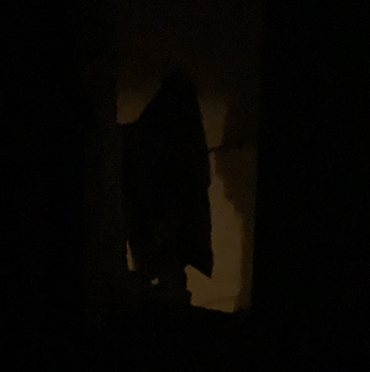 JakeBoyd_'s tweet photo. Almost shat my pants coming out of my room. It’s a towel on the banister... https://t.co/0wXx0ypMSy