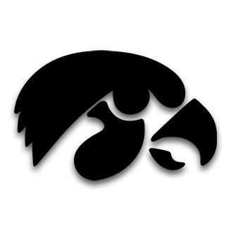 alonzobushjr's tweet photo. Extremely blessed to have received my thirteenth division one offer to play football at the University of Iowa!! #AGTG #ForMyMom #TampaBorn #DIDreams https://t.co/8RGKc7l3sk