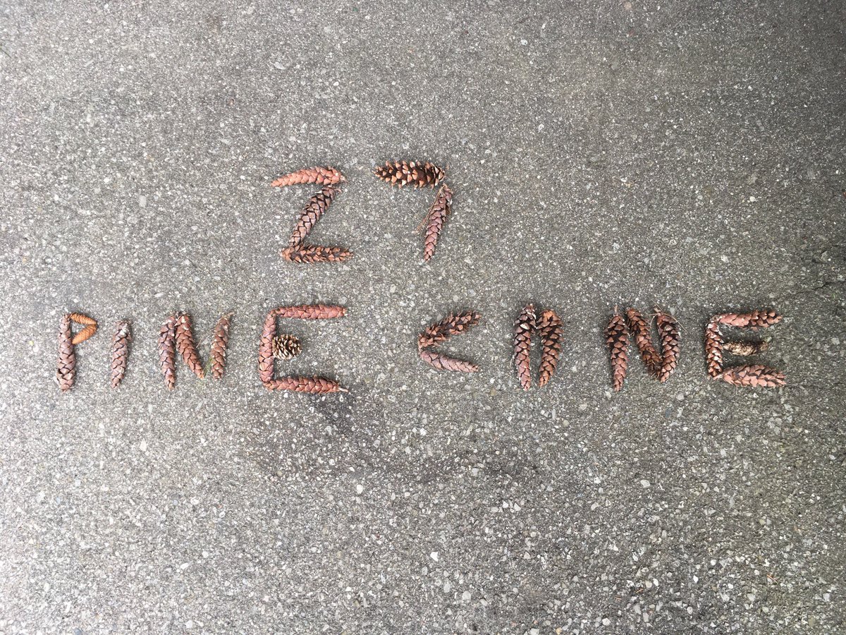 MrWheeldonDFJH's tweet photo. Hey @paf_blueroom and @PAF_ps , for today’s SK challenge, my sons and I collected sticks and pine cones in our neighbourhood, then used them to practice our sorting, spelling, and counting skills 👍🏻 https://t.co/2hqCgg2FGa
