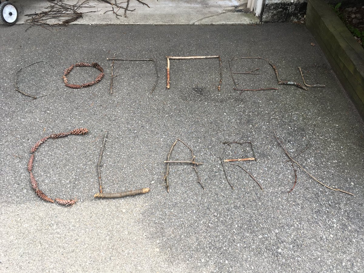 MrWheeldonDFJH's tweet photo. Hey @paf_blueroom and @PAF_ps , for today’s SK challenge, my sons and I collected sticks and pine cones in our neighbourhood, then used them to practice our sorting, spelling, and counting skills 👍🏻 https://t.co/2hqCgg2FGa