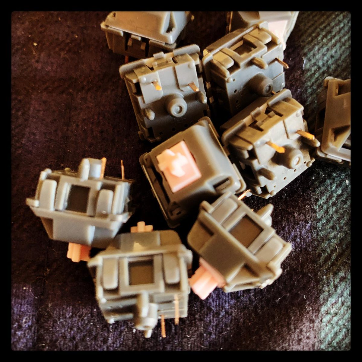 digifiend's tweet photo. Potato pic of lubed and filmed #alpacas #mechanicalkeyboard #mxswitches #keebtalk #geekhack IG: https://t.co/CsX76C2Bsz https://t.co/mptCiDoMlM