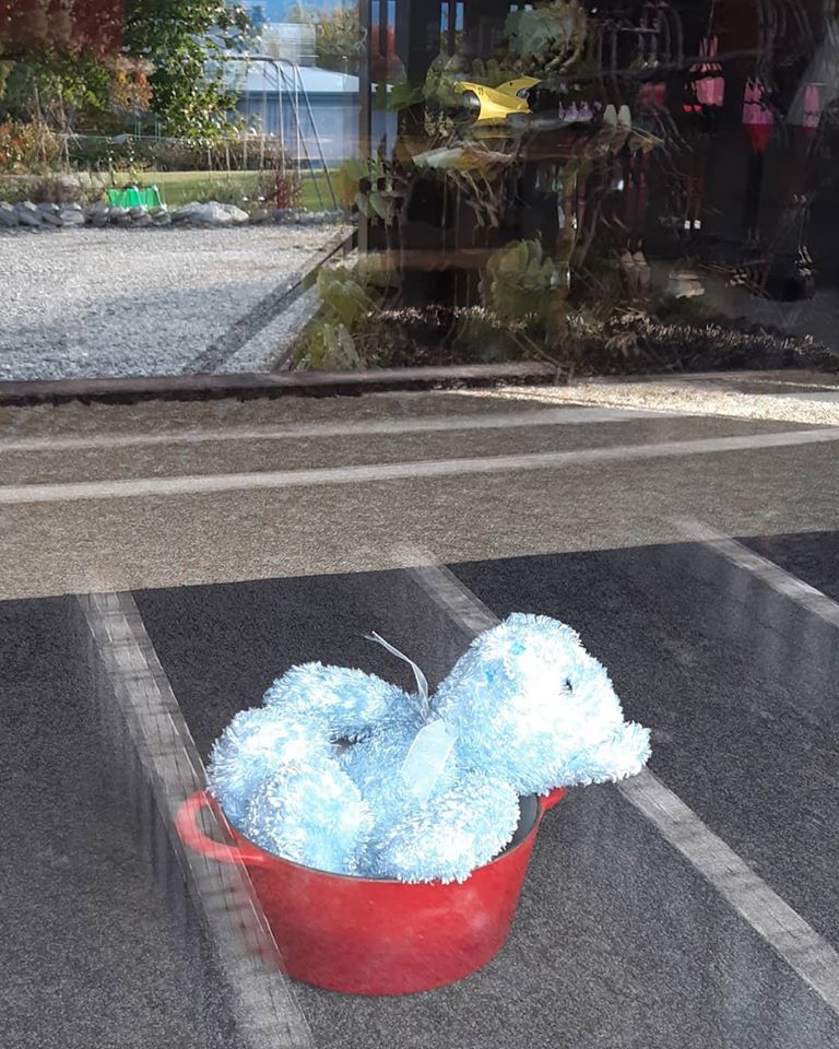 in_wanaka's tweet photo. Briggs tries a spot of creative visualisation and imagines he's in a hot tub, as the weather is starting to cool down now. Dream on Briggs, dream on. #BeLikeBriggs #stayinyourbubble #wanaka https://t.co/GN3zNI8btu