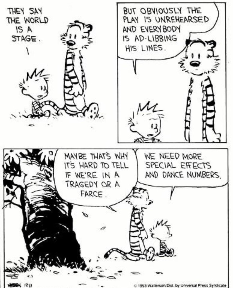 Calvin and Hobbes Fan Account tweet media