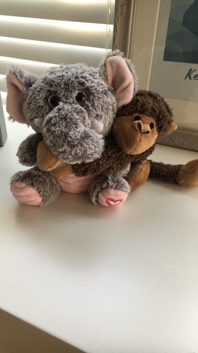 MsHarding4's tweet photo. We always had dogs growing up and I’m definitely one of the ones contemplating a puppy right now 🙈🐶 For now, I’ll go with these stuffed animals, which includes my favorite wild animal 🐘Now I just need a  🐅 to keep up with Joe and Carol #WildWednesday #MPVirtualSpiritWeek https://t.co/I9rDPJmbLI