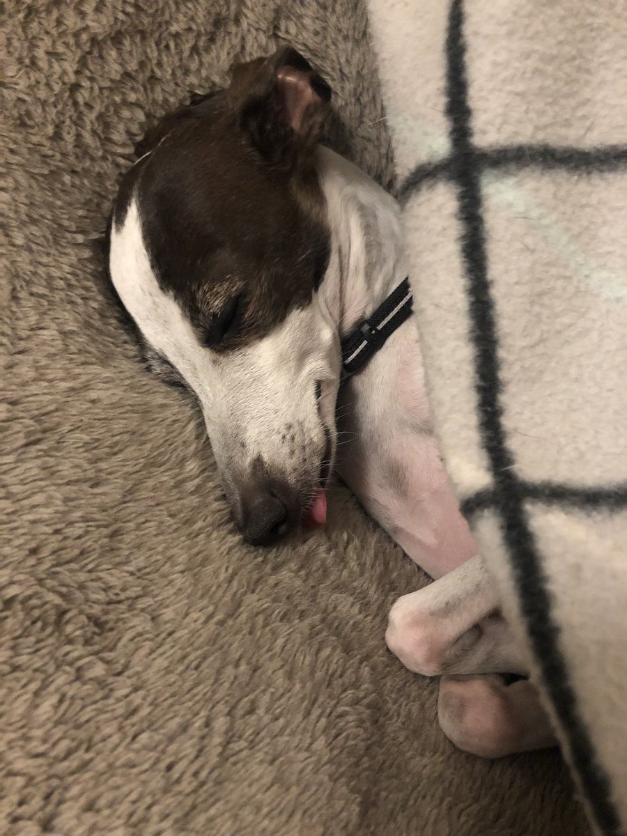 Enjoying the sunshine this morning 