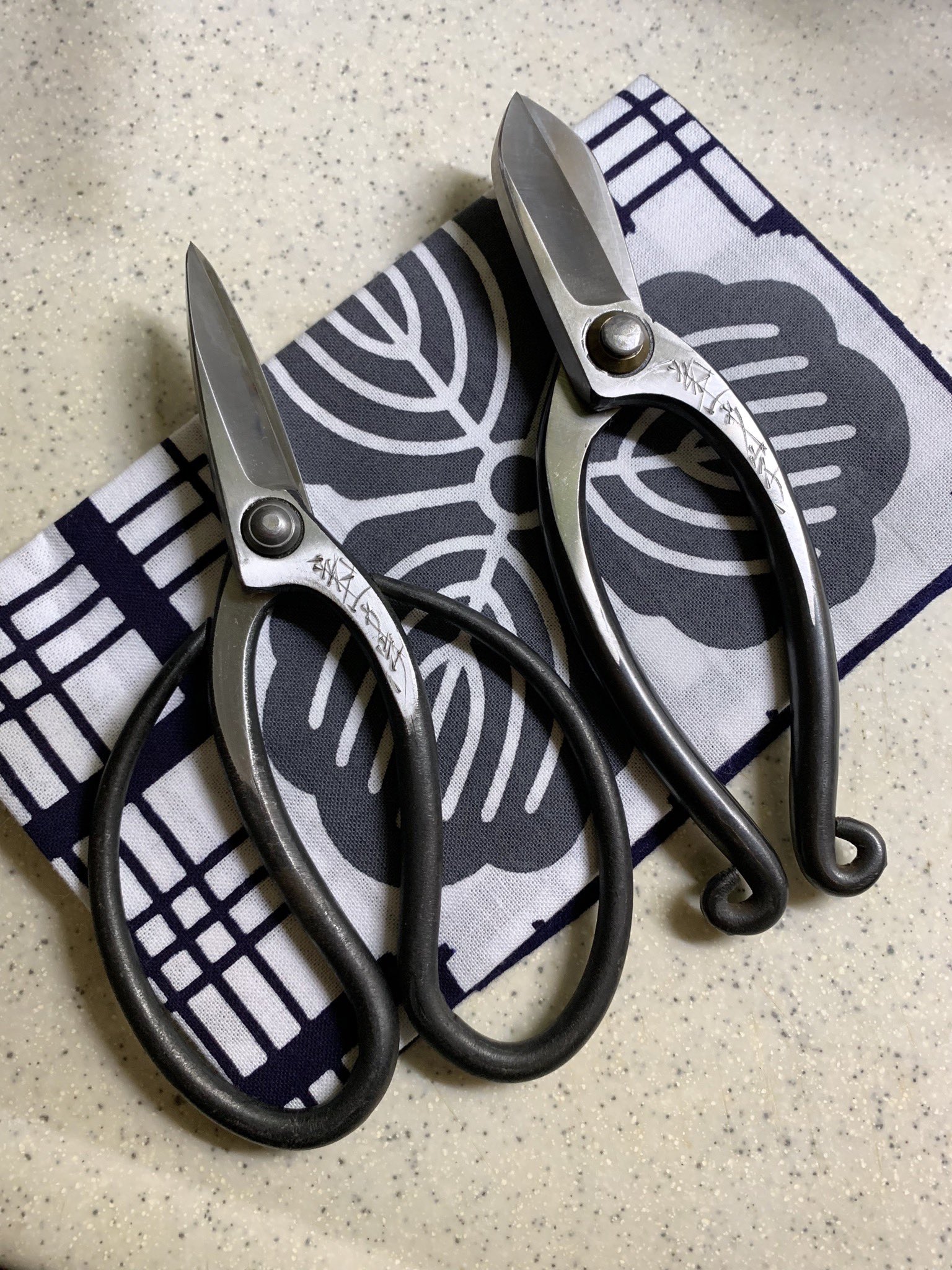 超特価激安 小日向  X: on 京 Scissors / Cutter