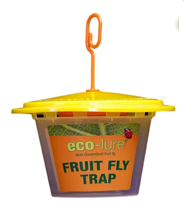 fruitflyittc's tweet photo. A monitoring program has begun this month around Greenhill Avenue in Castlemaine (VIC) as part council's Queensland fruit fly emergency outbreak plan: https://t.co/ZuGNvHuAuI #fruitfly #monitoringprogram #Qfly https://t.co/HD65lUU2Dq