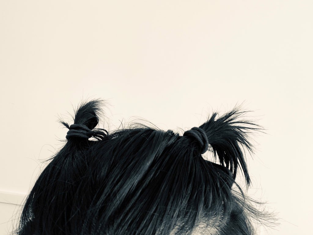 Lin_Manuel's tweet photo. The top knots are blooming https://t.co/iFju6hVXNH