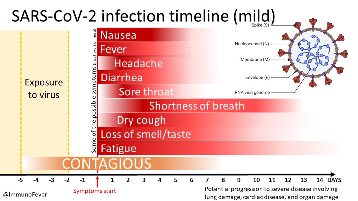 I've added a SARS-CoV2 timeline of exposure window/contagious window/symptoms with the major caveat of all of the current uncertainty as we learn more and more about this virus in real time. It now fits with the series I have below for seasonal pathogens we encounter. feedback?