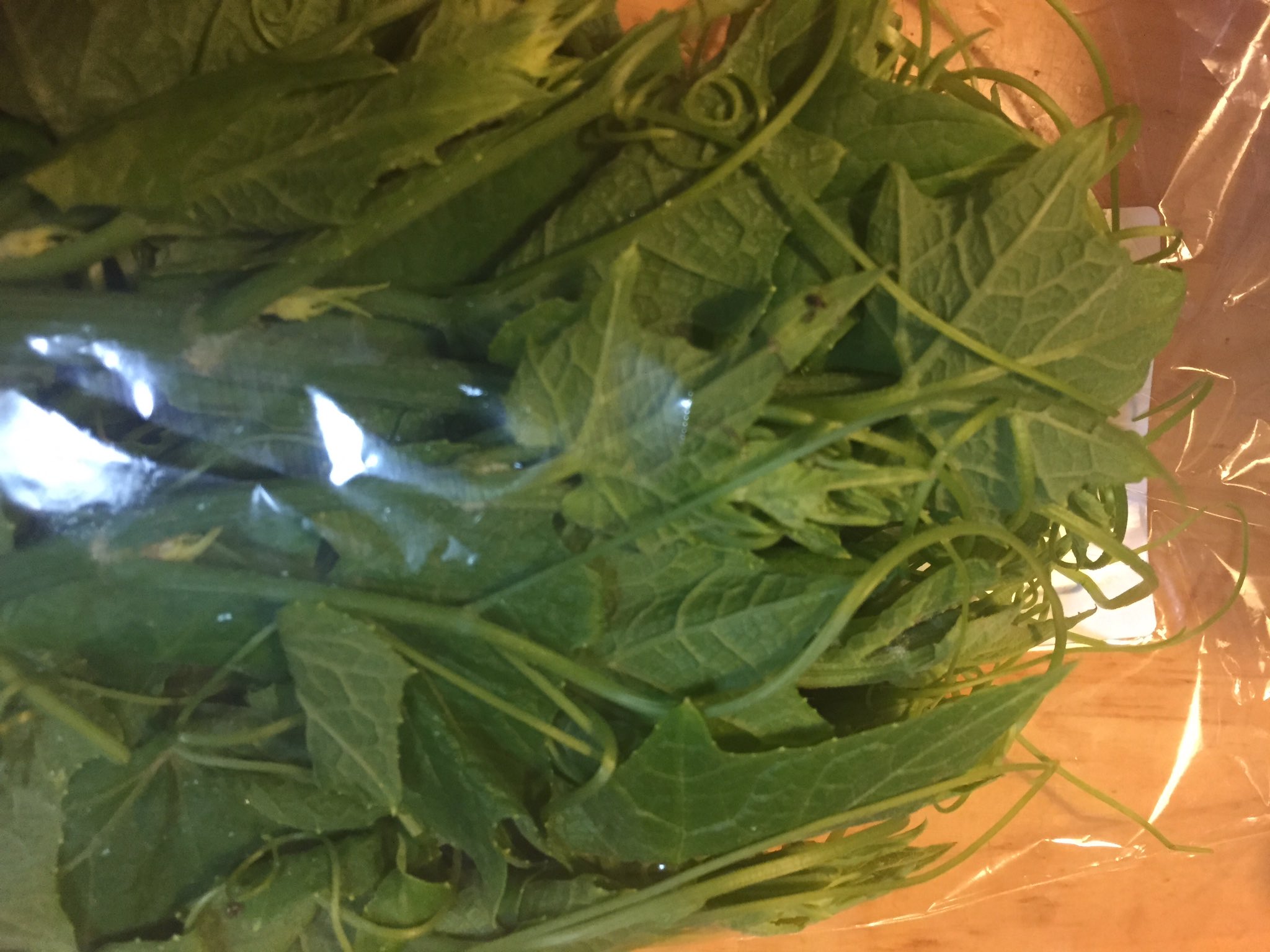 地産地消の推進 Twitter Search Twitter