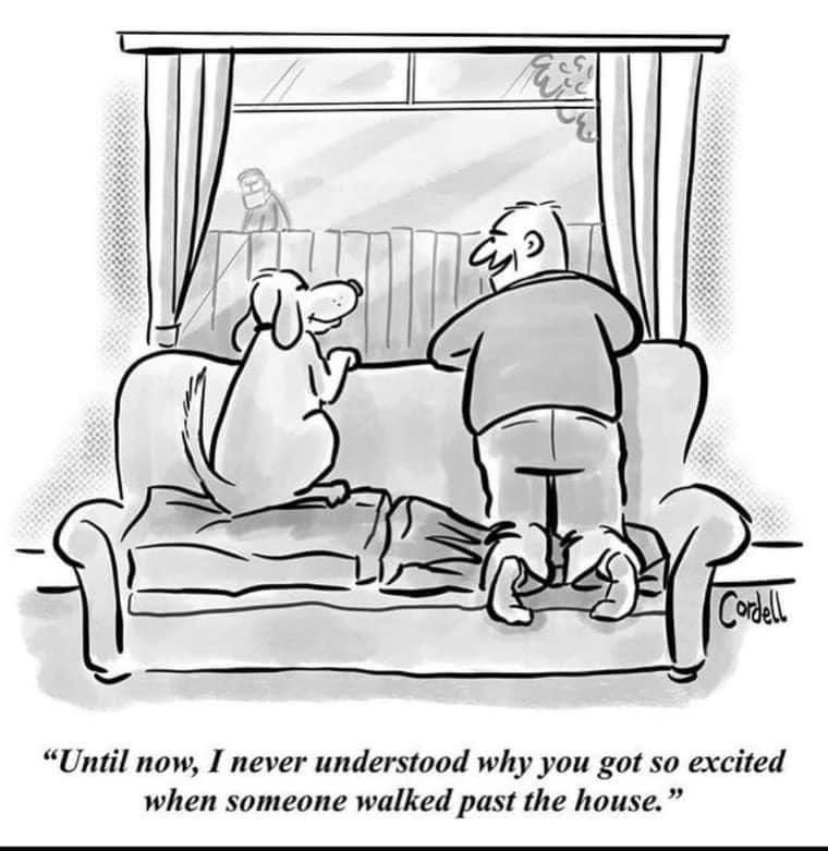 Yup. That says it all.