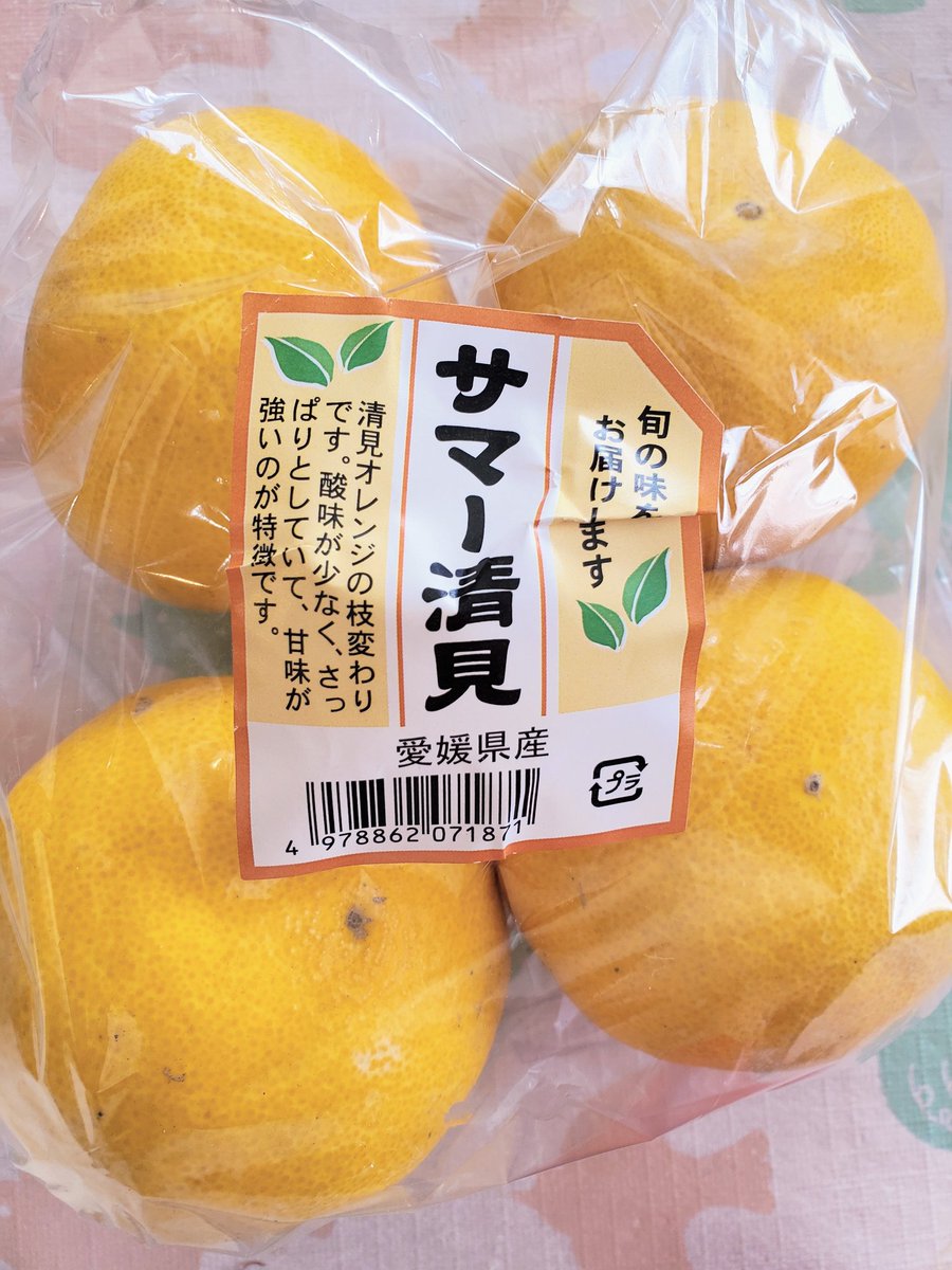 サマー清見