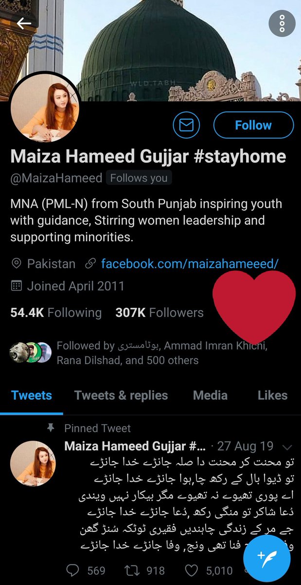 باؤ جی کا ببر شیر tweet media