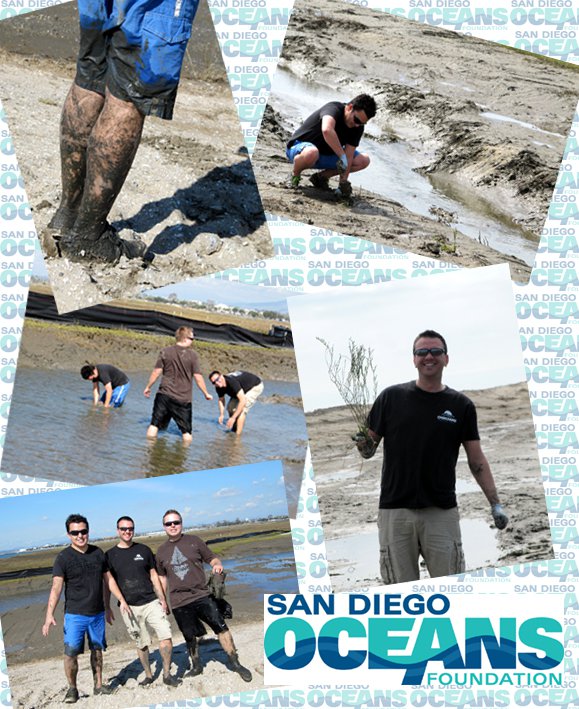 johnvalencia's tweet photo. #LoveMyNonprofits Challenge!  
Blast from the past! Here is a picture of me, Joshua Antus and @Aktnout knee-deep in mud planting seagrass in San Diego Bay for the San Diego Oceans Foundation! https://t.co/ITH9tc7w4D
