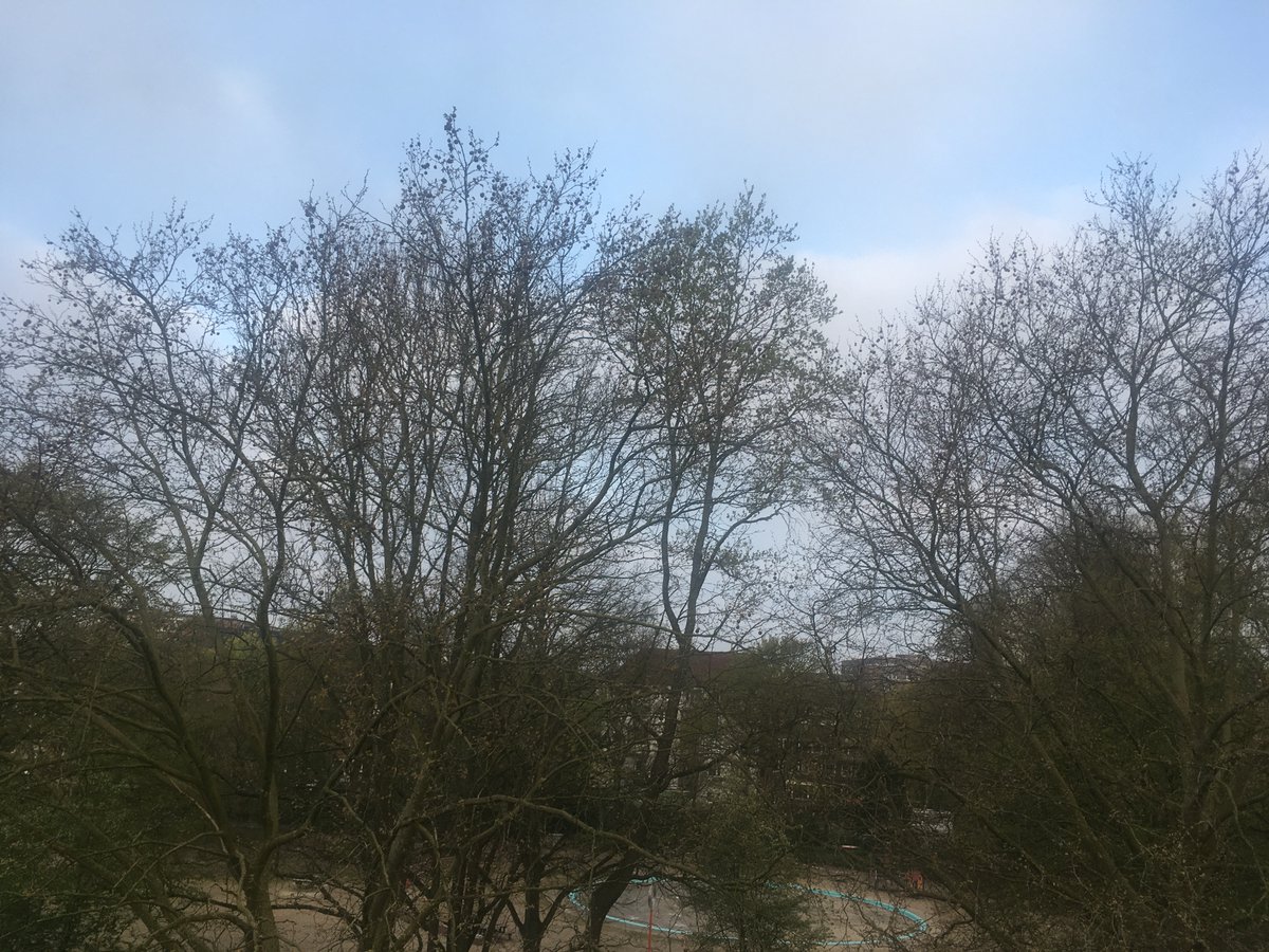 Morgens in Hamburg, die Eichhörnchen in den Bäumen, die Vögel twitschern, aber es fehlt der #kuckuck :-) <a href="/KorneliCaro/">Caro Korneli</a>