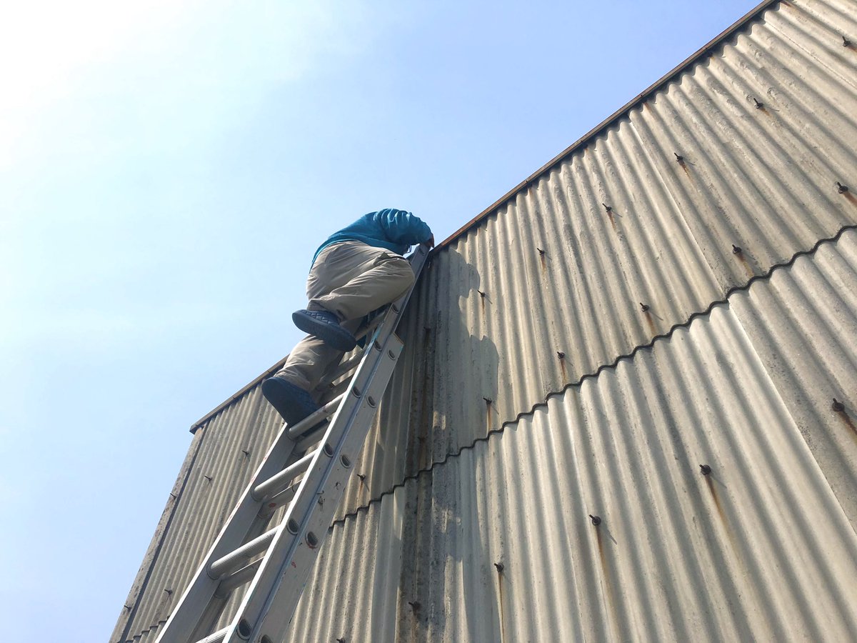 Roots Factory V Twitter ぽかぽか陽気な今日 ルーツファクトリー 工房の屋上に登る人現る 2階建ての工房 10mくらいありそうな屋上に 揺れるハシゴ スルスル登ってくる姿を見て 手汗が止まりません ルーツファクトリー Roots Factory V Twitter ぽかぽか陽気な今日 ルーツファクトリー 工房の屋上に登る人現る 2階建ての工房 10mくらいありそうな屋上に 揺れるハシゴ スルスル登ってくる姿を見て 手汗が止まりません ルーツファクトリー