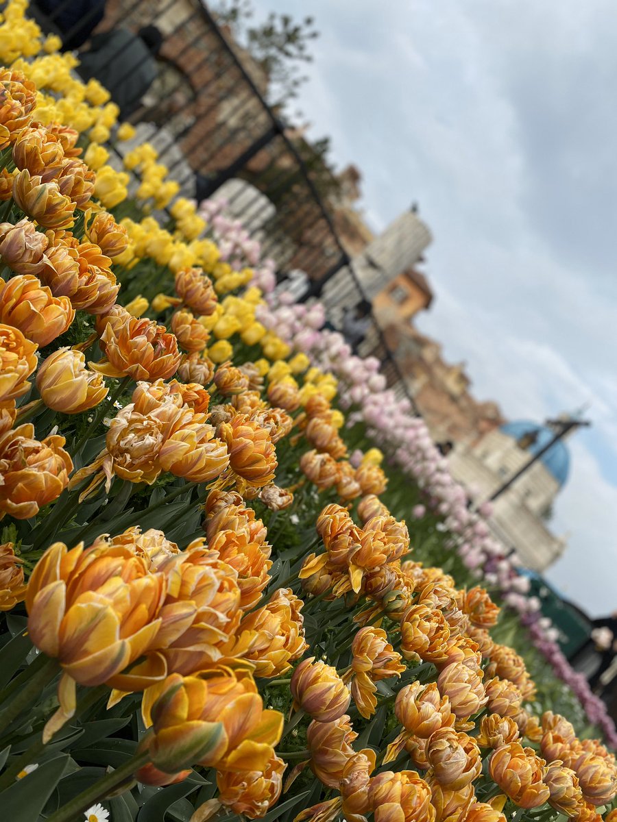 Disney564219's tweet photo. @TDR_PR 楽しみに待ってます！ https://t.co/qips5RmZVN