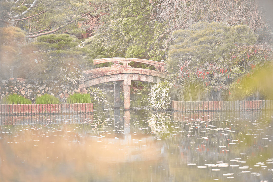 K Sharad Haksar tweet media