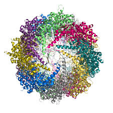 DeenaSierra1's tweet photo. Website: https://t.co/0tyHNz106R 
Book your slot : Special invitations for Young Researchers Forum #StructuralEnzymology #SequencingAnalysis #HybridapproachesinStructureprediction #StructuralBioinformatics #structuralbiologyconference #Structuralbiologyresearchers https://t.co/KF23gN110W