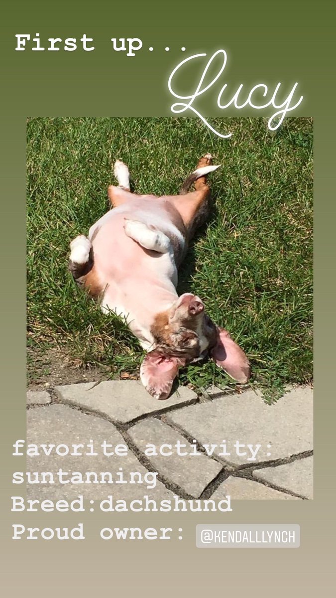 Endicott College DECA tweet media