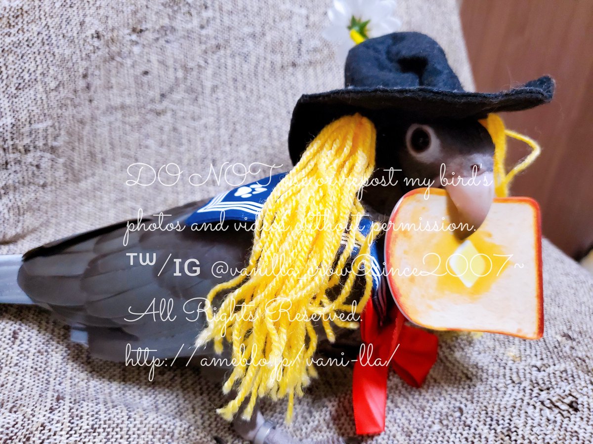 vanilla_crow's tweet photo. やらないといけない気がしたw
#ｸﾛｲﾝｺ #ｺｽﾌﾟﾚｲﾝｺ
#BreadCon2020 https://t.co/NbLY5aiOKn