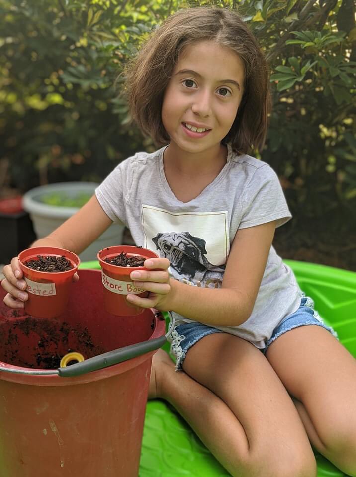 SWFLChristian's tweet image. Our 4th graders had a busy day at SFCA Virtual! They are conducting research at home by planting seeds. Students were mailed tomato seeds from their teachers and then they also harvested seeds from a fresh tomato. They planted them and will see which will sprout first.