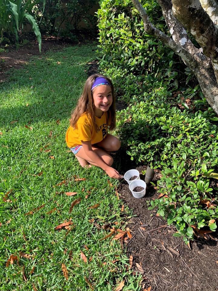 SWFLChristian's tweet image. Our 4th graders had a busy day at SFCA Virtual! They are conducting research at home by planting seeds. Students were mailed tomato seeds from their teachers and then they also harvested seeds from a fresh tomato. They planted them and will see which will sprout first.