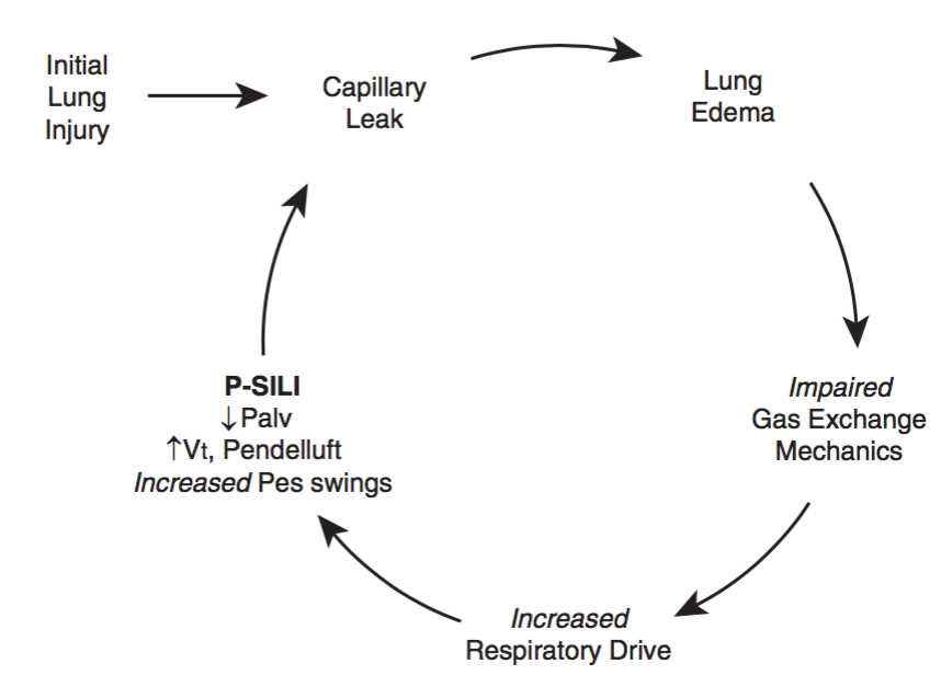 What about Patient Self Induced Lung Injury? Some believe non intubated patients with prolonged heavy work of breathing can cause themselves lung injury through big changes in transpulmonary pressure (pleural swings). They advocate early intubation to prevent this (10)