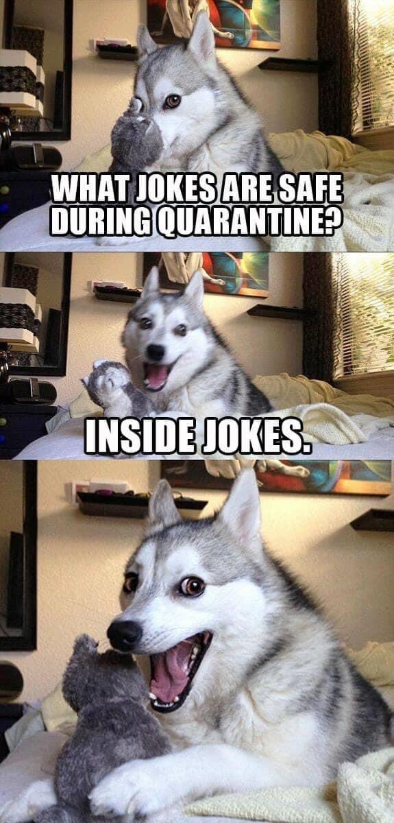 Needed humor!