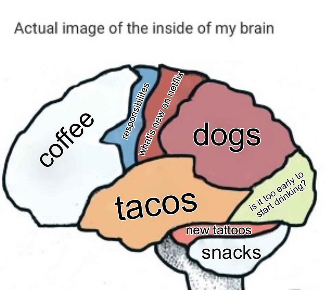 Current quarantine brain. tili. 