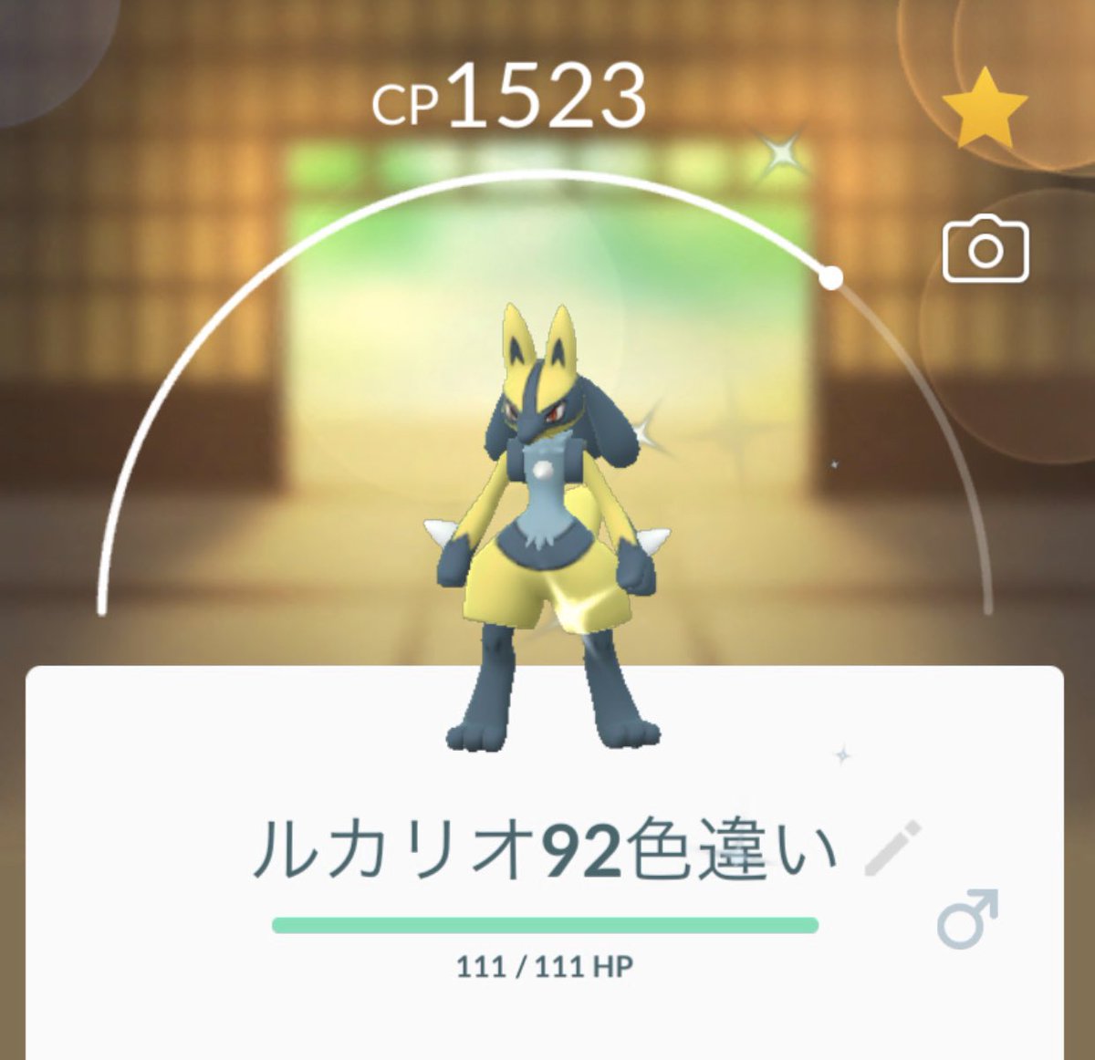 ポケモン ルカリオ