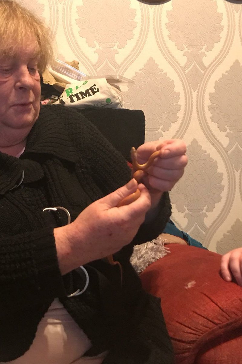 My mum was petrified of snakes, in 1 hour I got her from not being in the same room as one to handling it and getting over her fear. My mum is the reason why me and my sister adore animals!