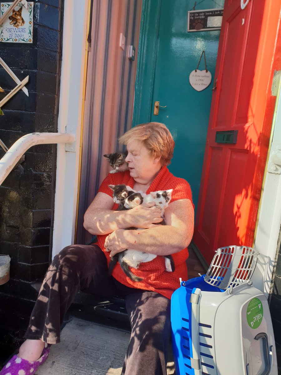 When our cat had kittens my mum wanted them all!!!!