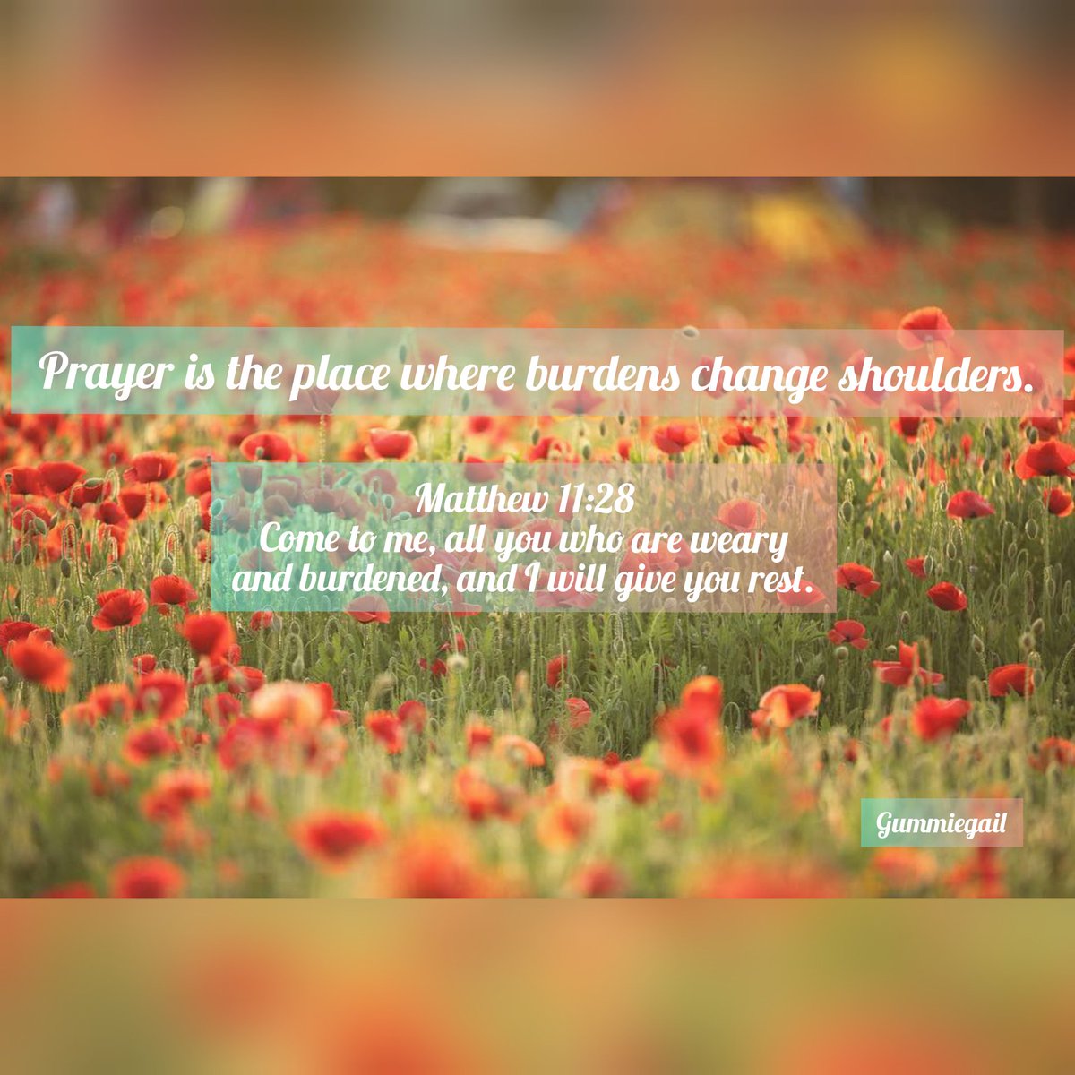 LifeVandQ's tweet photo. ReminderNo.7:
Prayer is the place where burdens change shoulders.

Matthew 11:28

#LifeVersesandQuotes 
#TrustJesus 
#lifeverses 
#lifequotes https://t.co/7qsWzFuCub