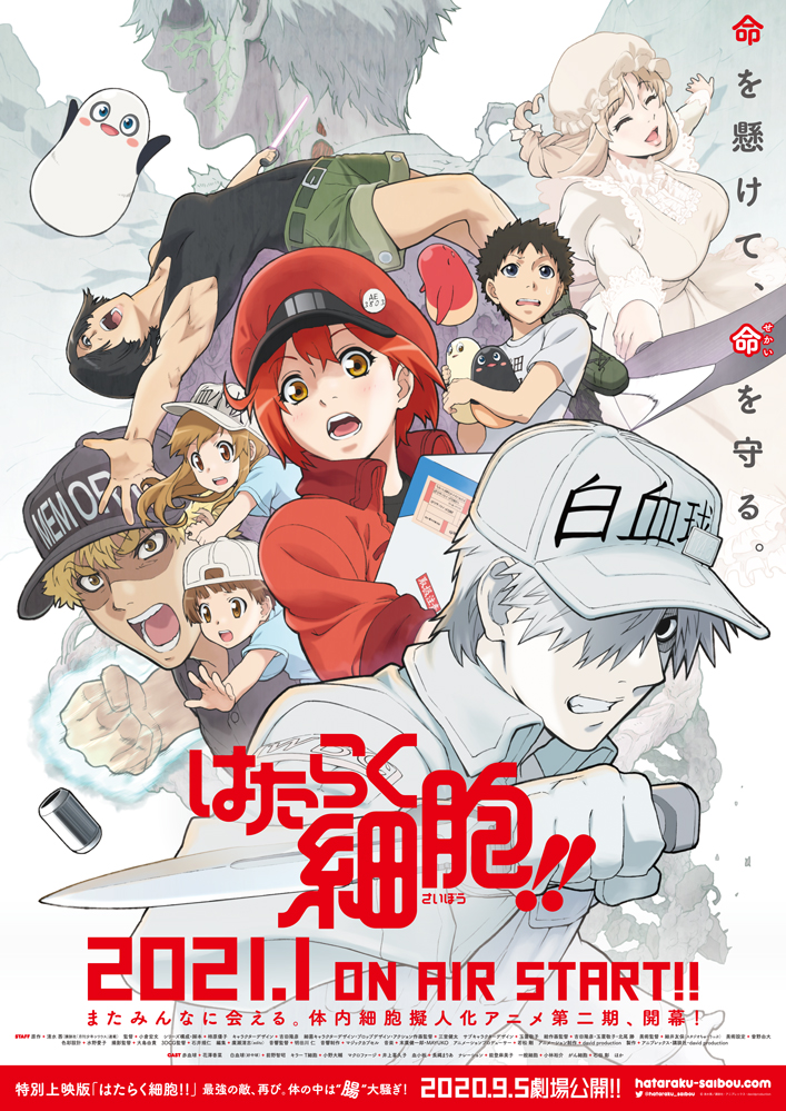 はたらく細胞 公式 Tvアニメ情報 21年1月から はたらく細胞 Tv放送 年9月5日よりtv放送に先駆けて特別上映版の劇場上映もございます またみんなに会える 体内細胞擬人化アニメ第2期 開幕 pvも是非ご視聴ください T
