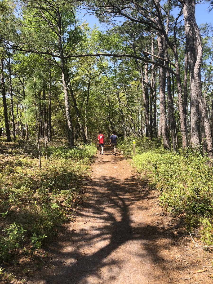 SageDesignParks's tweet photo. Thank you @NCparks Carolina Beach State Park Trails providdd some much needed outside time! https://t.co/D8BKGvq4Vo