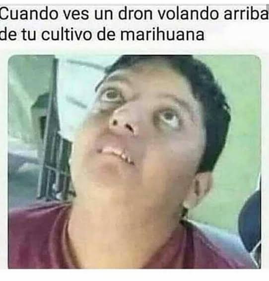 GriffTokani's tweet photo. Jajajaj  ya valió ver...         🌱🌱

#Marihuana #TokaniGriff https://t.co/nPwdR1OH2O