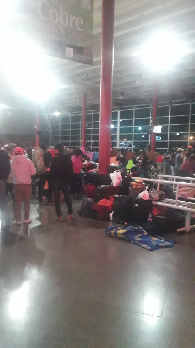 Linea 111 Transantofagasta oficial tweet media