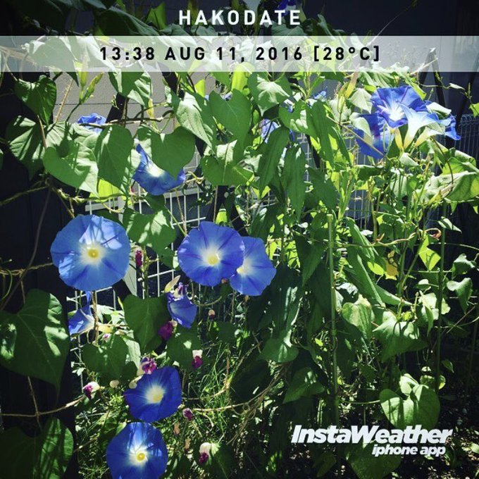 朝moriのtwitterイラスト検索結果 古い順