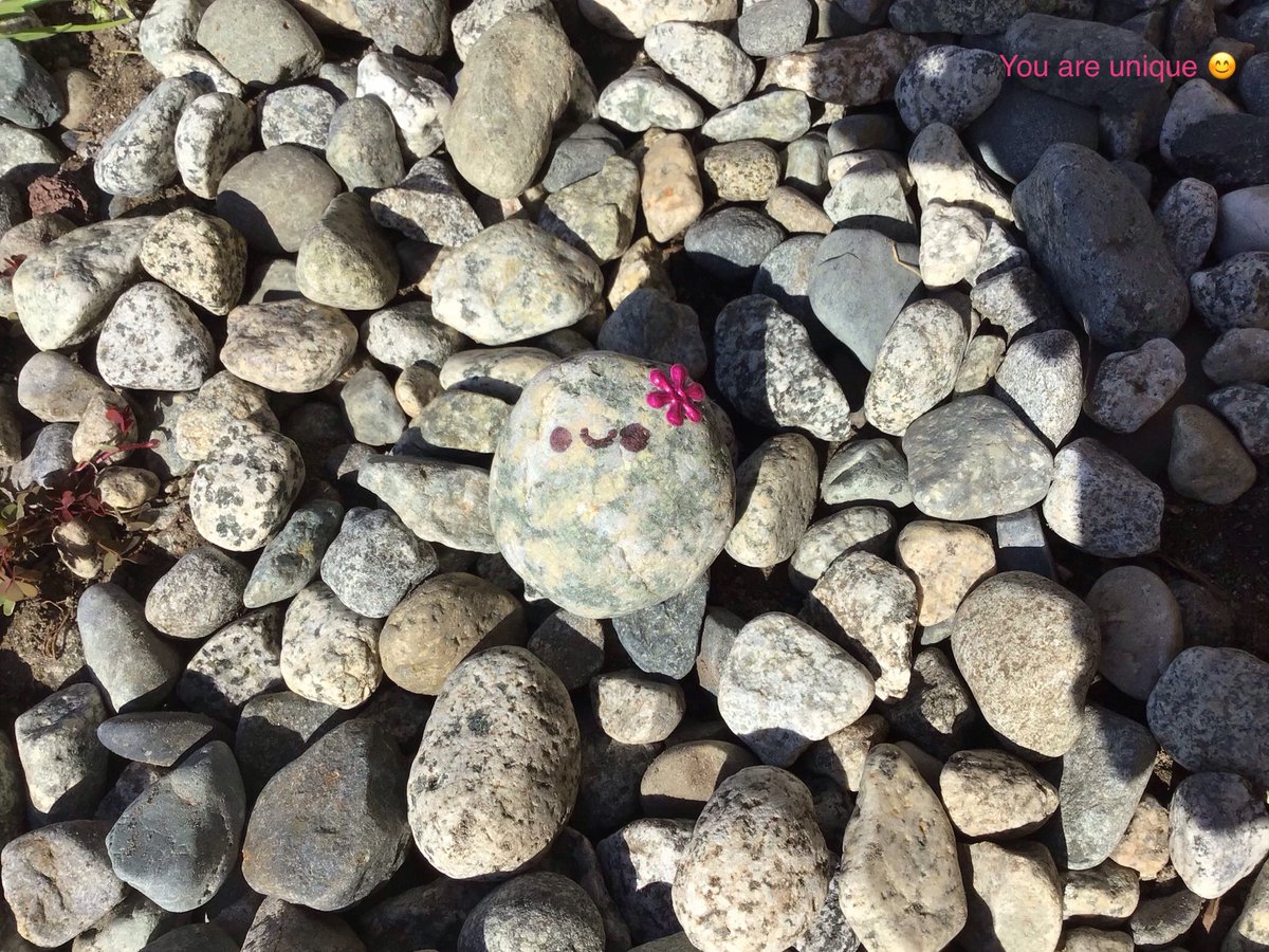 JamesParkEleme1's tweet photo. Many of our students are choosing happiness and sharing their happiness with our community. This has been inspired by #IshiTheRock ,our little champion of kindness. #sd43 https://t.co/nbwQtqWttP
