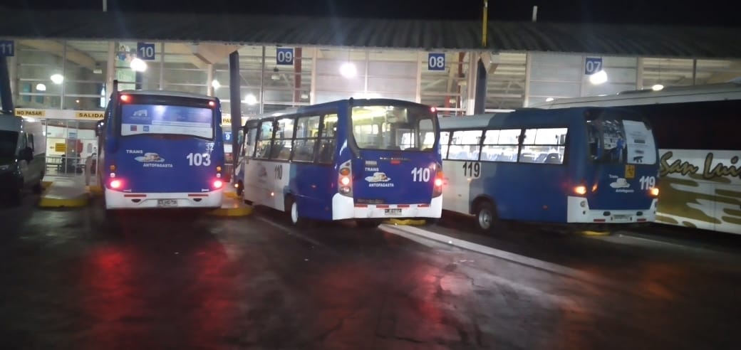 Linea 111 Transantofagasta oficial tweet media