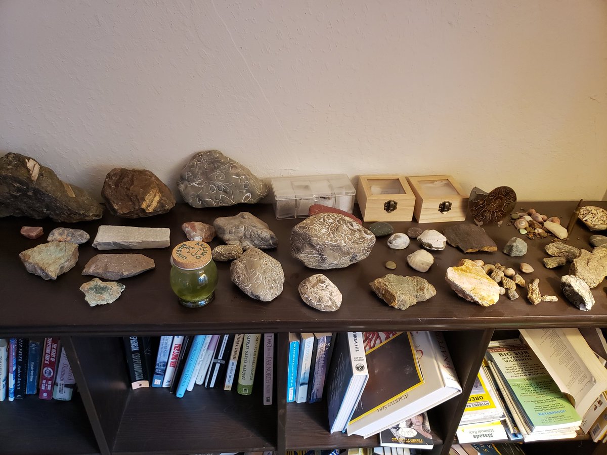 bistromath's tweet photo. been playing animal crossing and now I'm pretty sure I'm supposed to donate all this to an owl https://t.co/S80f101NSF