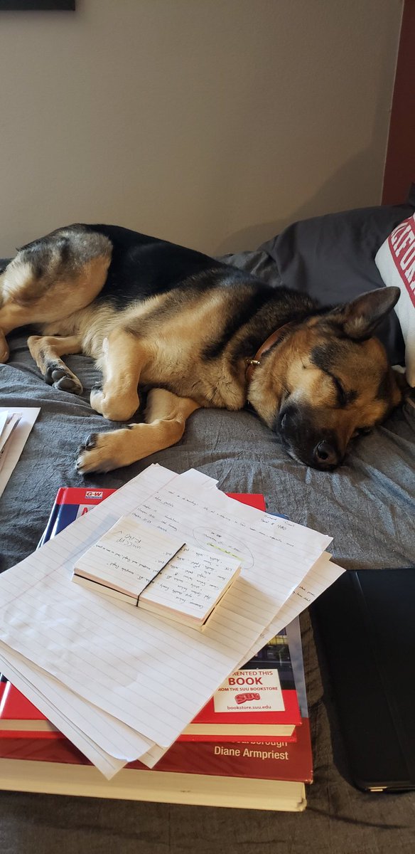 SeansFieldNotes tweet picture