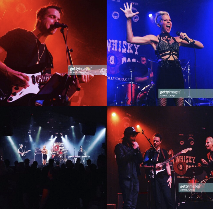 The Wanderland Tour tweet media