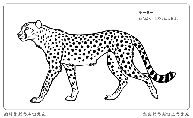 東京ズーネット 公式 On Twitter おうちでできる 多摩動物公園の ぬりえどうぶつえん 完成させたら写真を撮ってツイッターやインスタグラムなどに ぬりえどうぶつえん のタグとともにぜひご紹介ください お待ちしています ダウンロードは東京ズーネットの